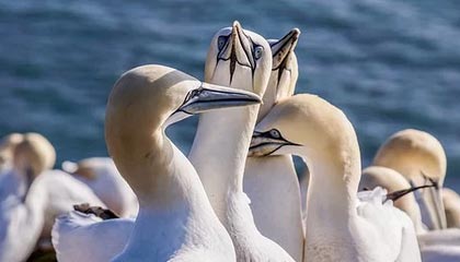 开云体育网址-上海男篮迎来新主教练，战术大调整，上海男篮最新主教练