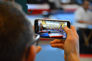 开云中国官网-中国篮球联赛市场细分与精准营销研究，全国篮球联赛优势